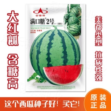 满口糖2号西瓜种子美都西瓜种子大红瓤含糖高皮耐裂
