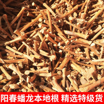 【晒场直批，量大价格更优惠】阳春春砂仁根沙仁根蟠龙干