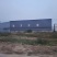 杞县优质大蒜产地直发品质保障量大优惠对接全国市场