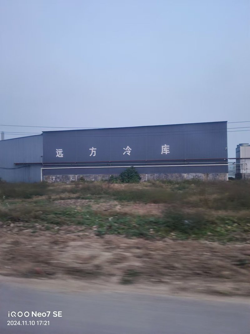 杞县优质大蒜产地直发品质保障量大优惠对接全国市场