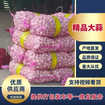 杞县优质大蒜产地直发品质保障量大优惠对接全国市场