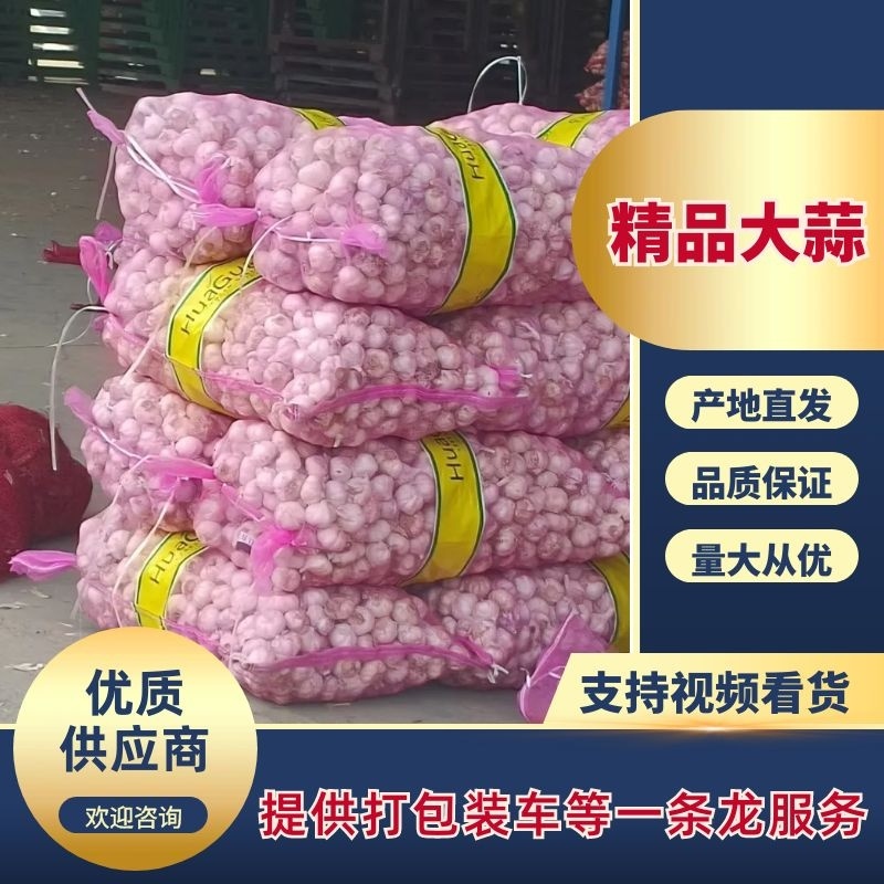 杞县优质大蒜产地直发品质保障量大优惠对接全国市场