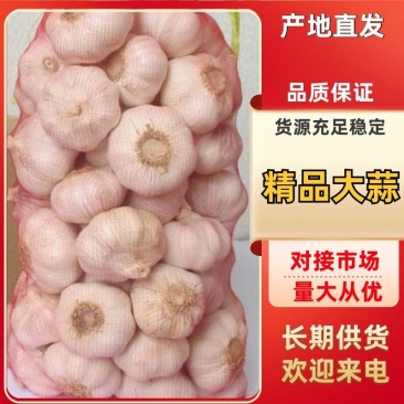 杞县优质大蒜河南大蒜产地直发品质保障量大优惠