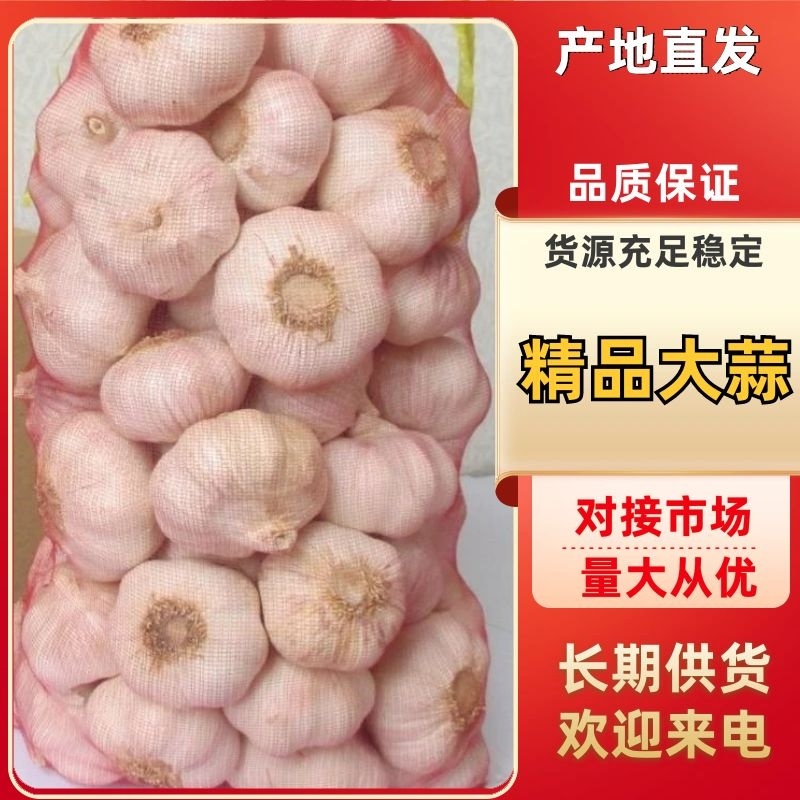 杞县优质大蒜河南大蒜产地直发品质保障量大优惠