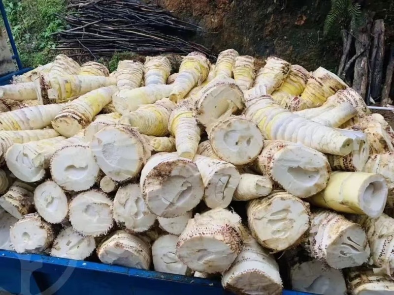 笋干江西笋干大量供应品质保证全国发货
