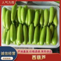 【精选】山东平邑原产地精品西葫芦，欢迎各位老板进店选购