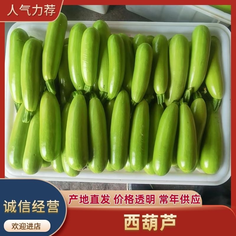 【精选】山东平邑原产地精品西葫芦，欢迎各位老板进店选购