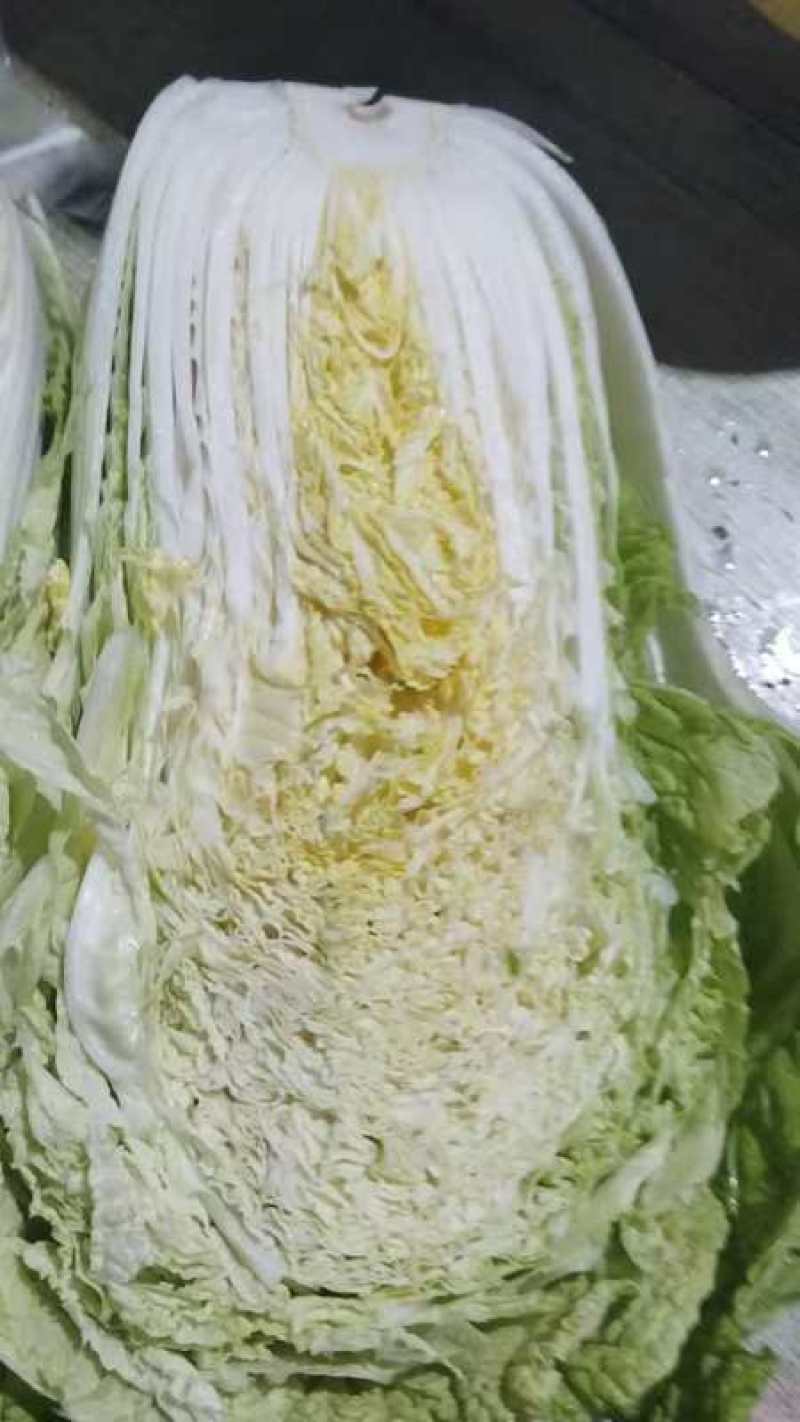 白菜黄心白菜产地一手货源对接全国市场等量大优惠