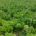 白菜黄心白菜产地一手货源对接全国市场等量大优惠