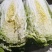 白菜黄心白菜产地一手货源对接全国市场等量大优惠