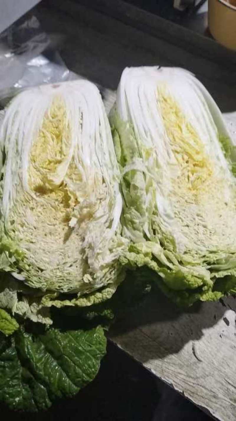 白菜黄心白菜产地一手货源对接全国市场等量大优惠