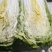 白菜黄心白菜产地一手货源对接全国市场等量大优惠