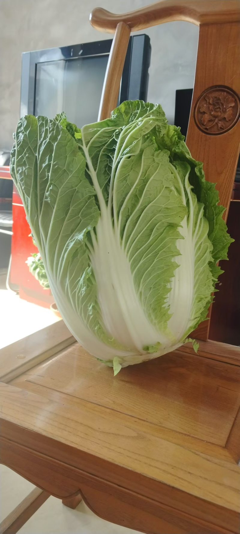 白菜黄心白菜产地一手货源对接全国市场等量大优惠