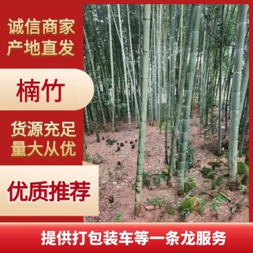 楠竹大量供应，一手货源，产地直发，价格优惠，欢迎采购