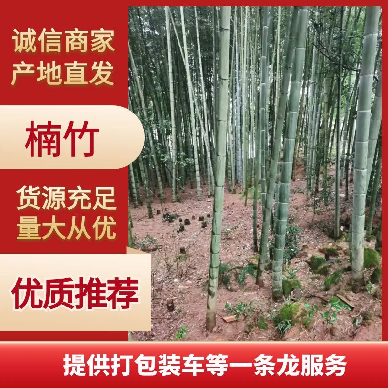 楠竹大量供应，一手货源，产地直发，价格优惠，欢迎采购