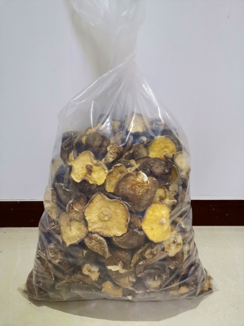 现货大片香菇颜色好大片冬菇大量供应