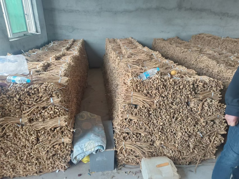 【热卖推荐】萝卜条好吃不贵手工制作量大价优欢迎致电咨询