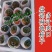 盘锦碱地柿子基地供应量大质优价格优惠一手货源