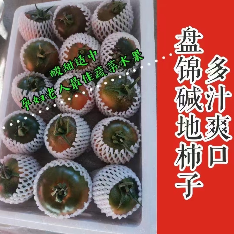 盘锦碱地柿子基地供应量大质优价格优惠一手货源
