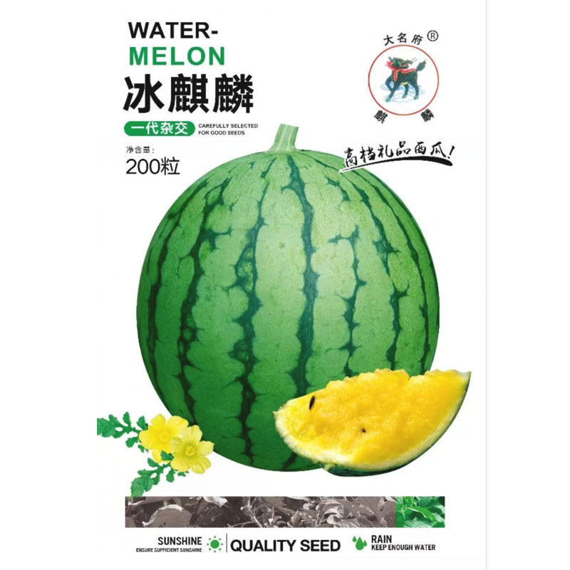 冰麒麟礼品西瓜种子早熟薄皮绿皮黄瓤细嫩爽口