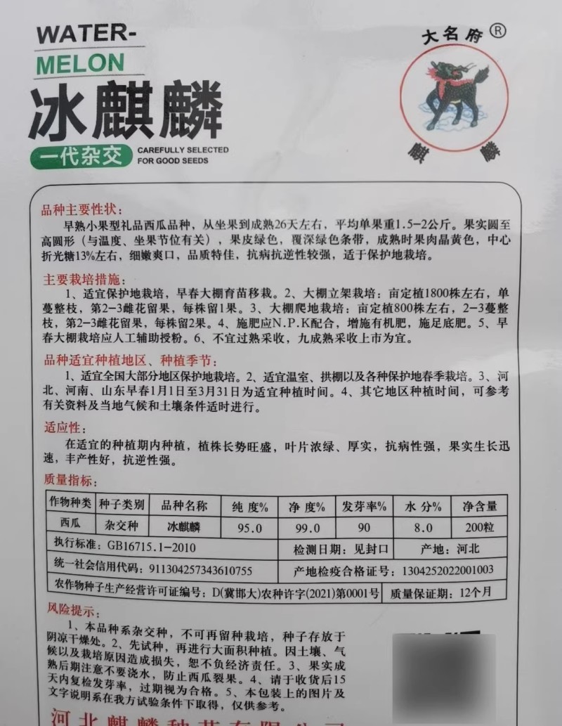 冰麒麟礼品西瓜种子早熟薄皮绿皮黄瓤细嫩爽口