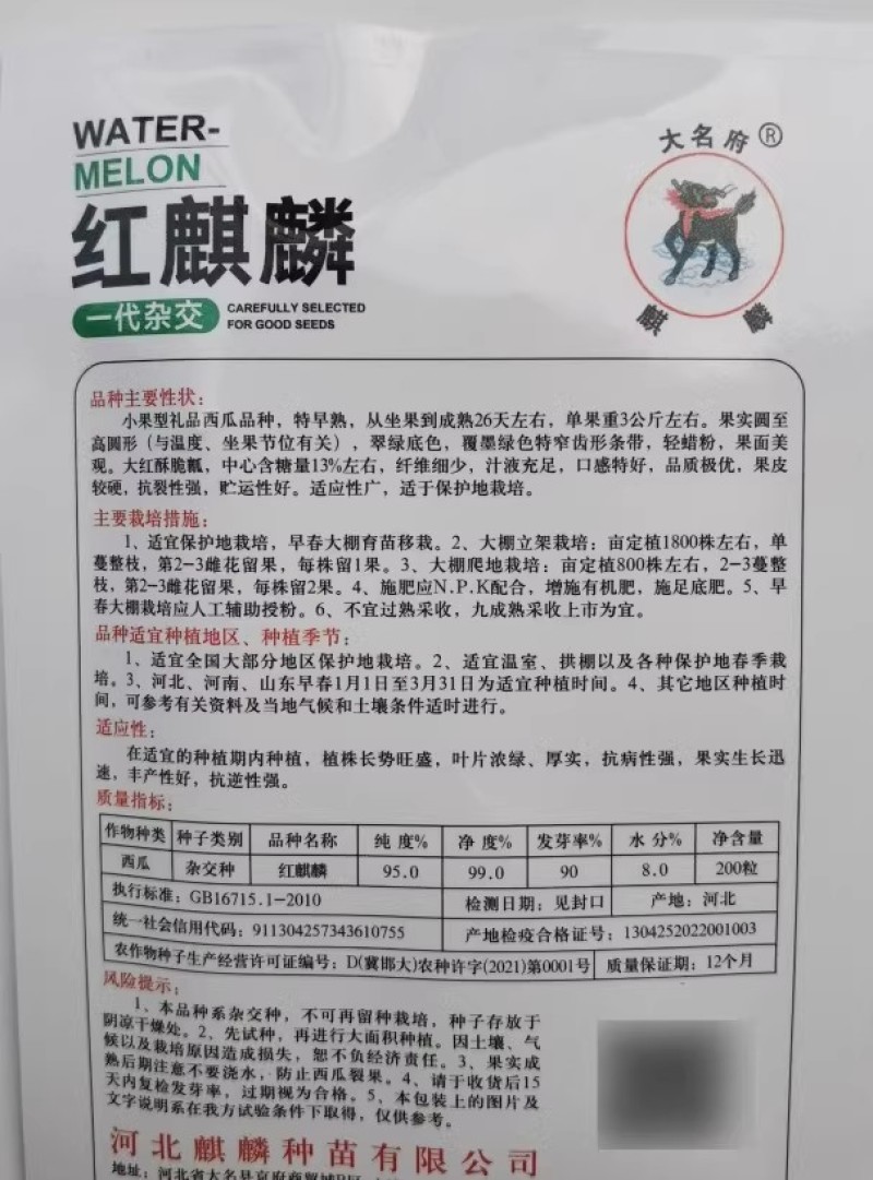 红麒麟礼品西瓜种子早熟大红酥脆瓤果皮较硬抗裂