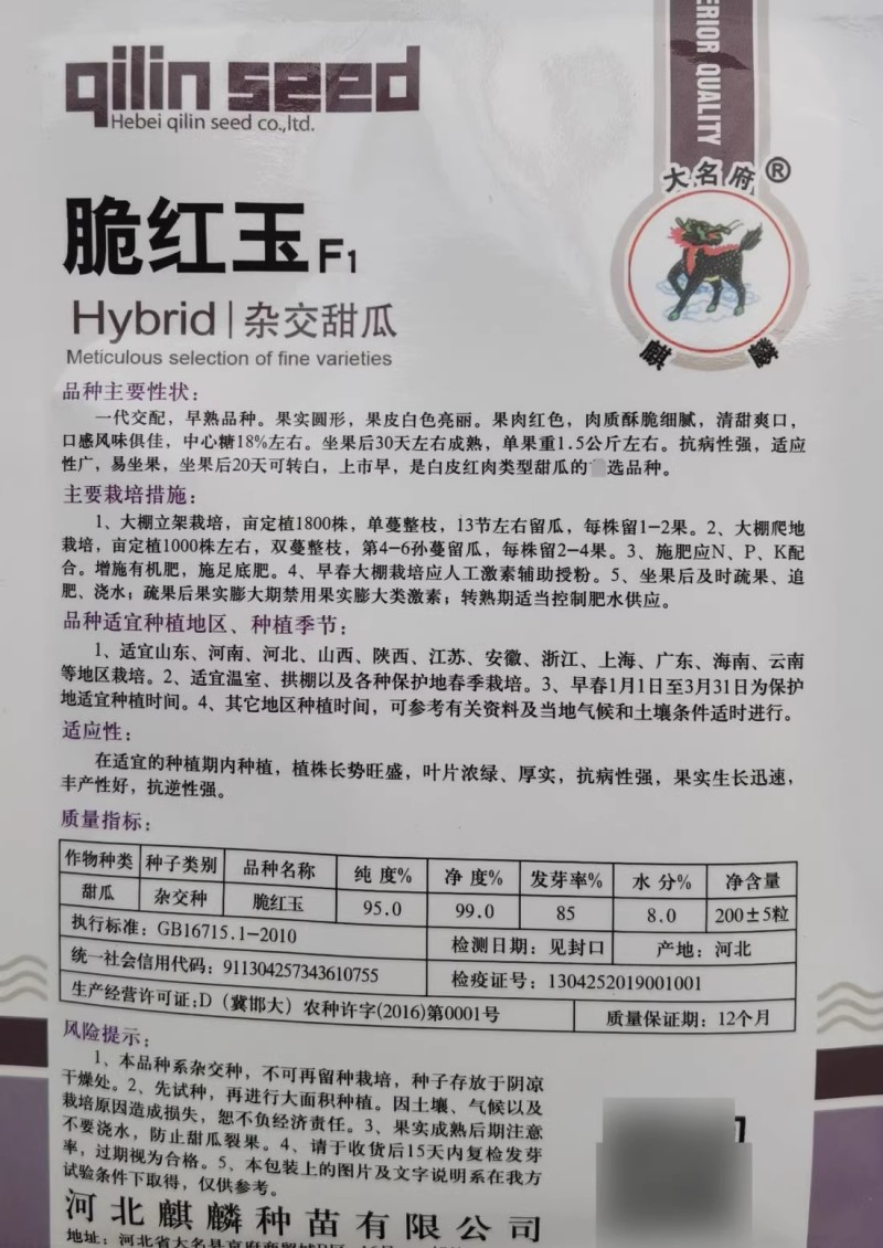 脆红玉甜瓜种子白皮红肉酥脆清甜杂交脆梨甜瓜种子