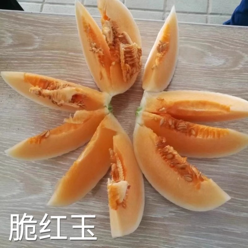 脆红玉甜瓜种子白皮红肉酥脆清甜杂交脆梨甜瓜种子