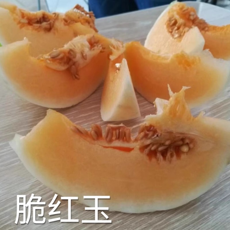 脆红玉甜瓜种子白皮红肉酥脆清甜杂交脆梨甜瓜种子