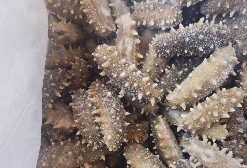 海参水产山东胶州海鲜产地直发电商市场商超