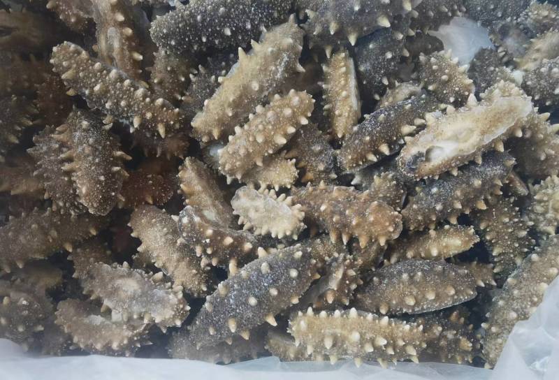 海参水产山东胶州海鲜产地直发电商市场商超