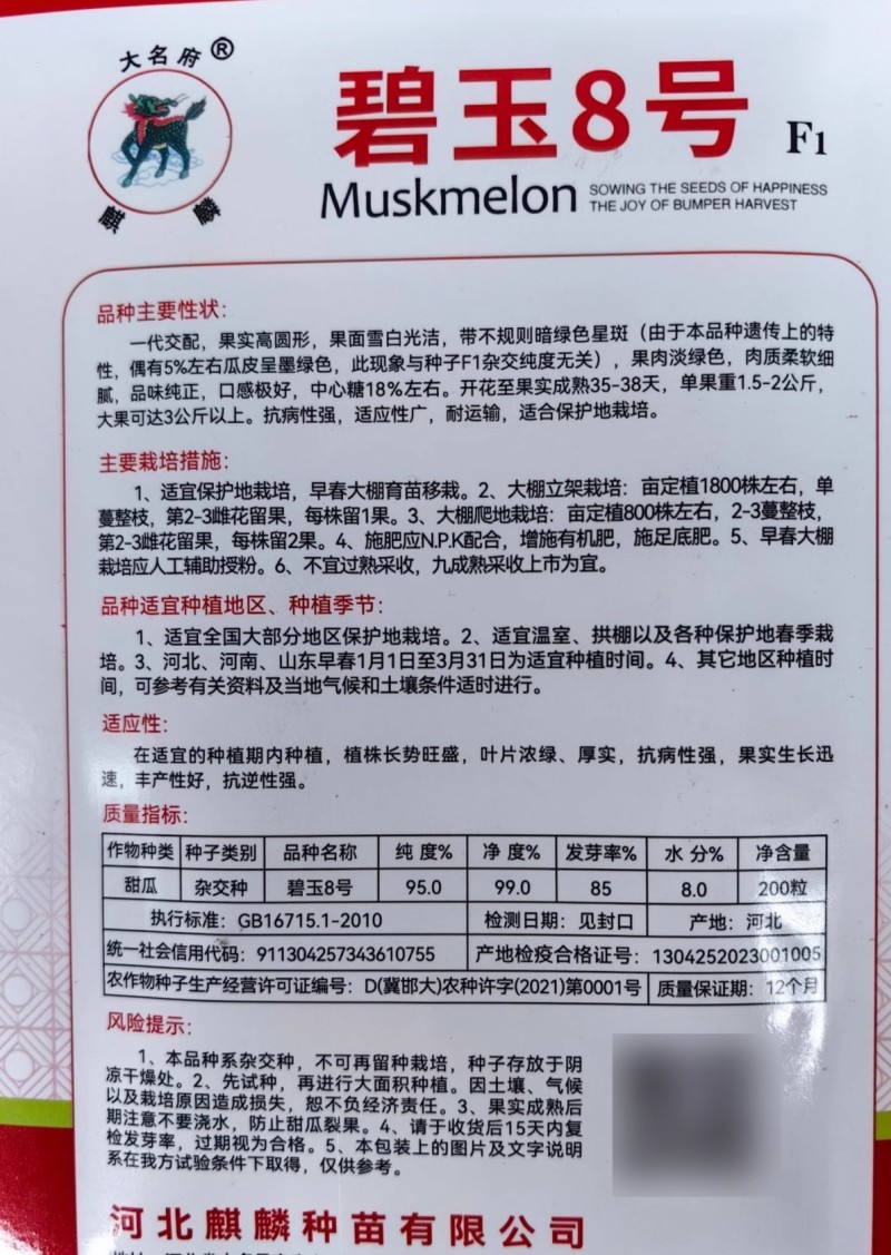 绿肉流星甜瓜种子碧玉8号白皮绿肉绿星斑玉姑甜瓜种子