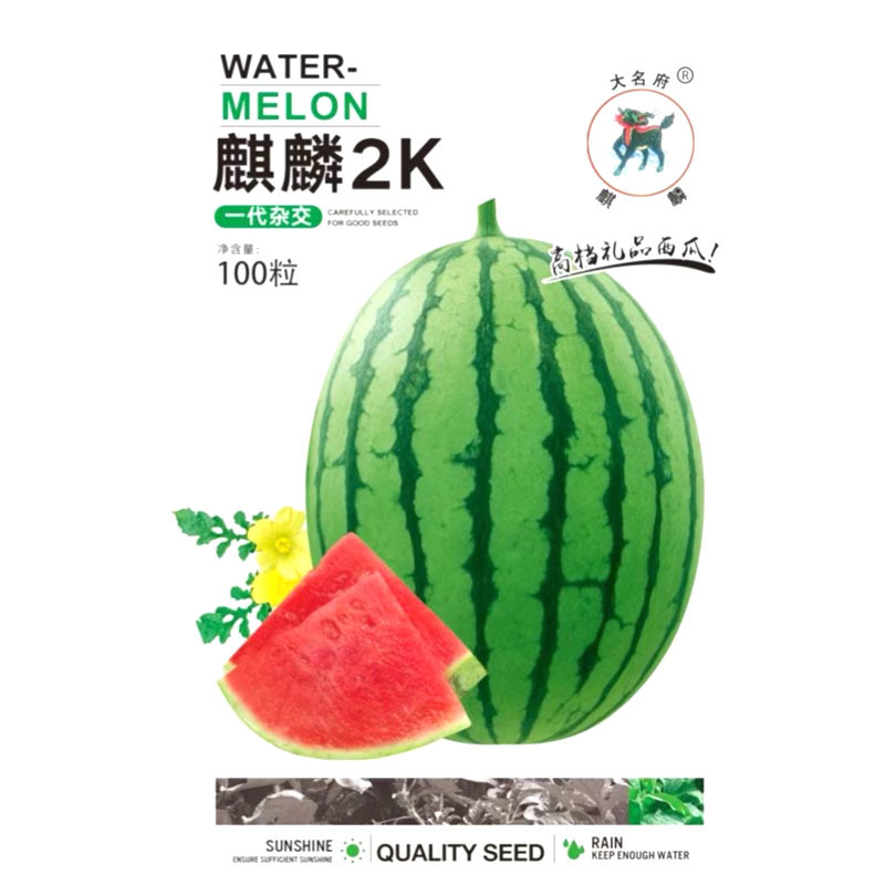 麒麟2K西瓜种子小果型礼品西瓜红瓤汁水多耐裂果