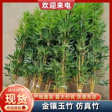 【精品】金镶玉仿真竹质量过硬厂家直发欢迎来电洽谈