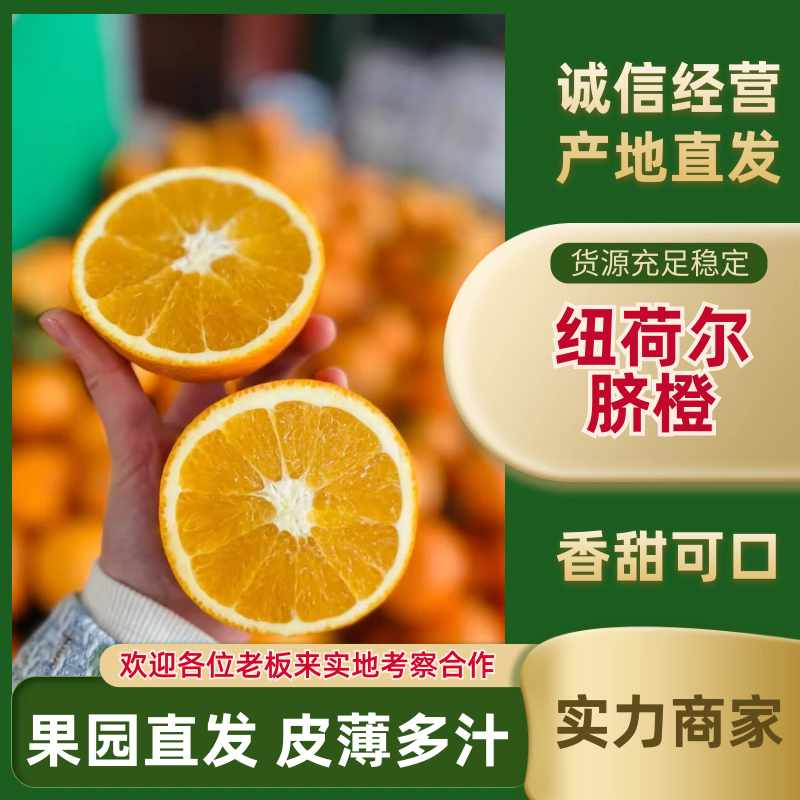 纽荷尔脐橙湖北脐橙大量供应对接全国市场电商商超