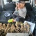 鲜当归现挖先发基地供应量大质优价格优惠欢迎