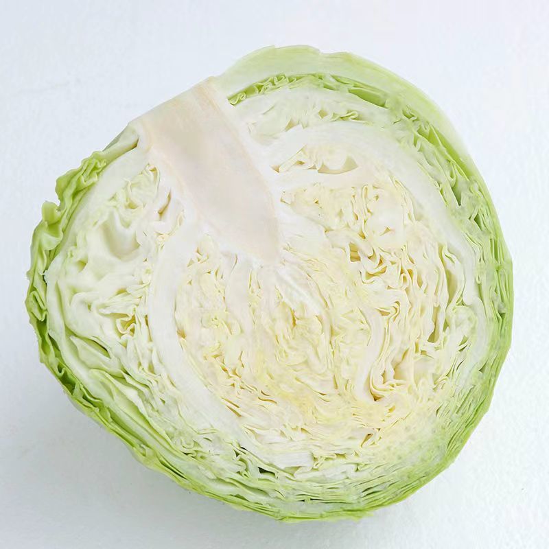 圆包菜甘蓝基地供应量大质优价格优惠一手货源欢迎采