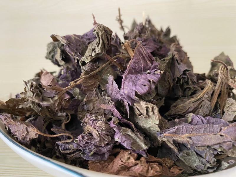 紫苏叶带杆干货产品实拍