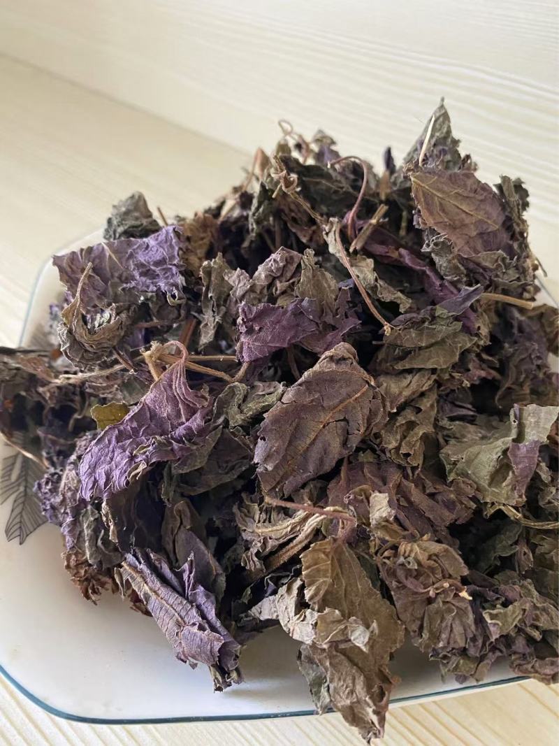 紫苏叶带杆干货产品实拍