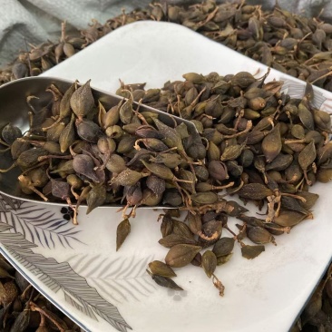 连翘干货产品实拍质量保证
