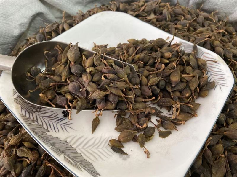 连翘干货产品实拍质量保证