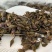 连翘干货产品实拍质量保证