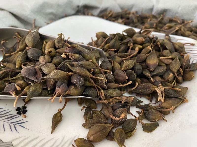 连翘干货产品实拍质量保证