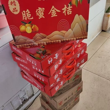 【热卖】脆密金桔保障精美规格齐整口感香甜价格美丽