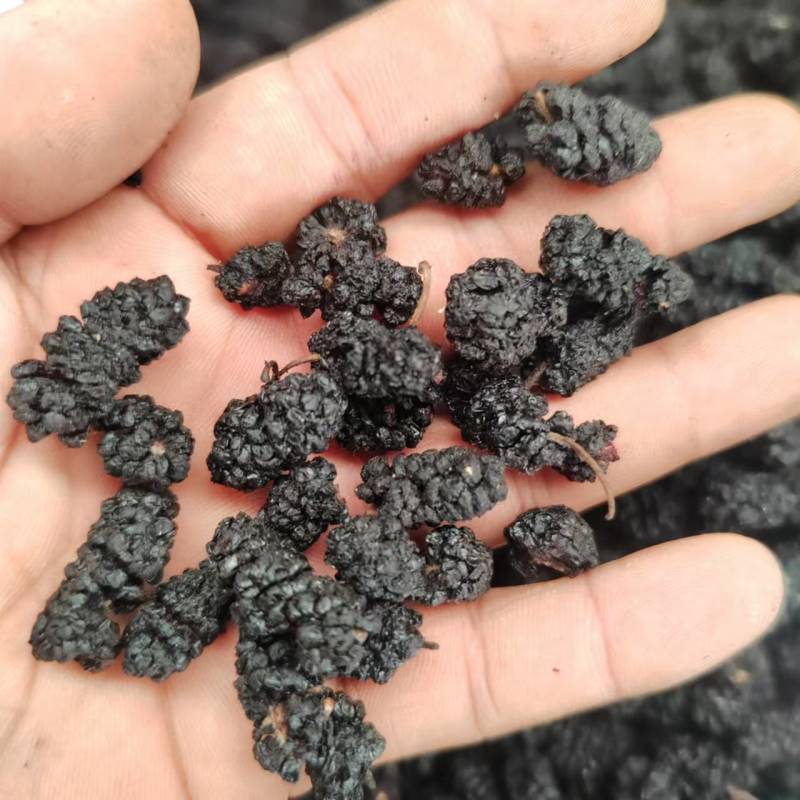 【桑葚干】河北沧州桑葚干全年有货承接电商大小包装都有
