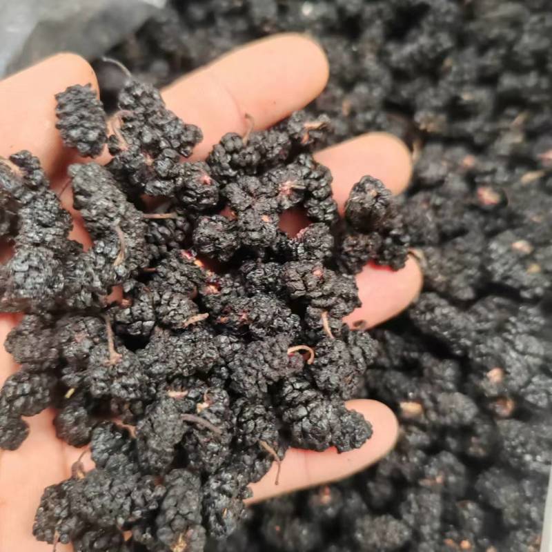 【桑葚干】河北沧州桑葚干全年有货承接电商大小包装都有