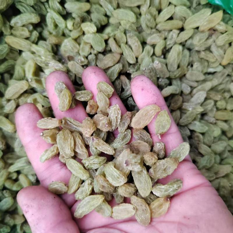 【葡萄干】新疆葡萄干大颗粒干净无杂甜度高货量大现场看货