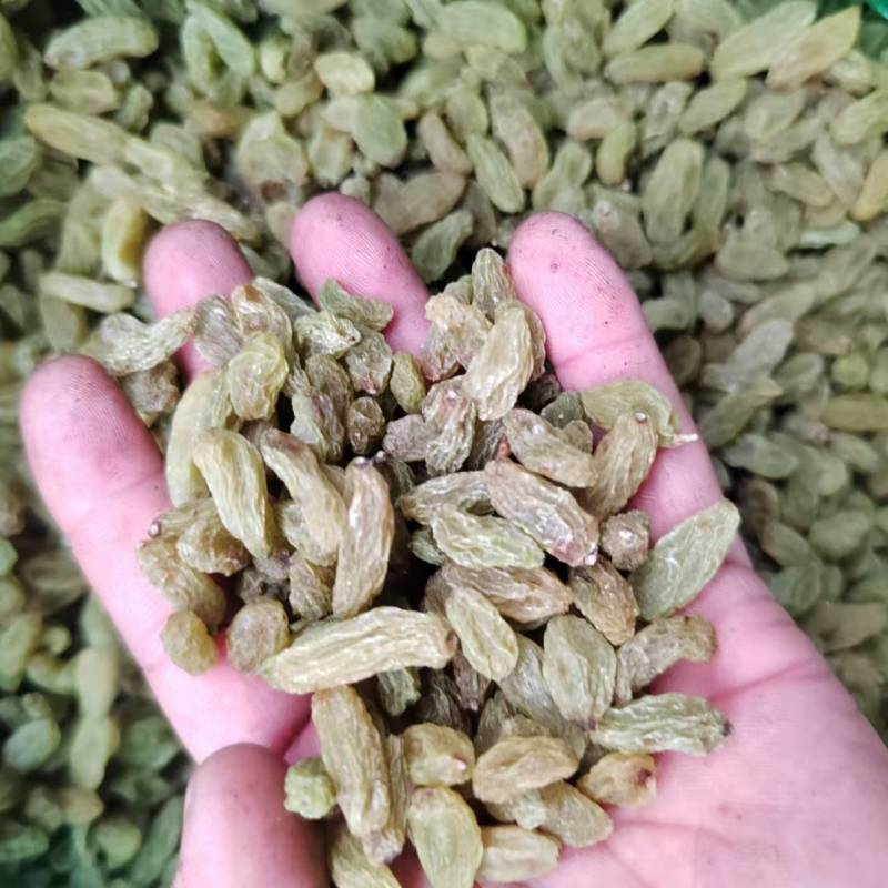 【葡萄干】新疆葡萄干大颗粒干净无杂甜度高货量大现场看货