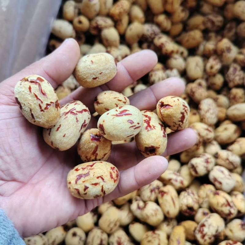 【虎皮无核枣】产地供货承接加工电商批发社区团购直播带货