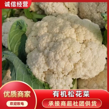 有机松花菜菜花白面青梗散花承接商超社团供货代收代发